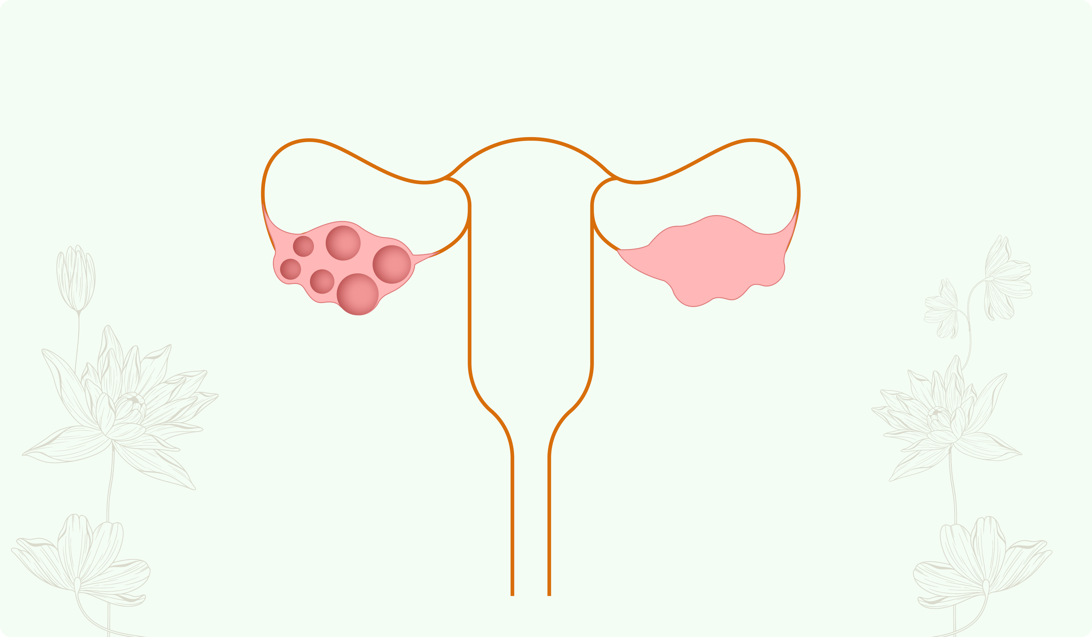 Ayurvedic Insights for Navigating Menopause